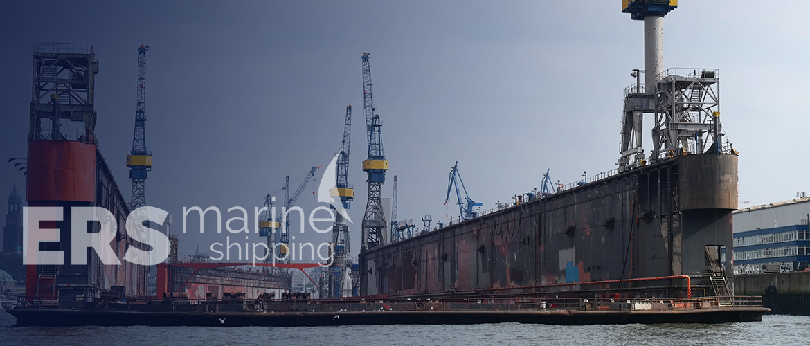 Ship technical services Dardanelles ERS